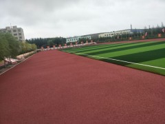 云南省臨滄市專業(yè)學(xué)校操場運(yùn)動場透