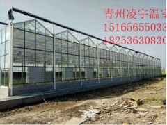 智能溫室哪里的好？如何選擇智能溫