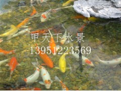 無錫市錦鯉魚池過濾公司！鴻瀚環(huán)保1
