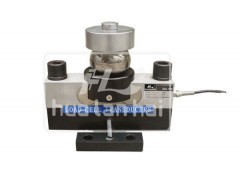 地中衡CZL110