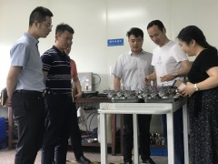 上海市奉賢區(qū)金匯鎮(zhèn)鎮(zhèn)長(zhǎng)蒞臨上海恩邦參觀考察