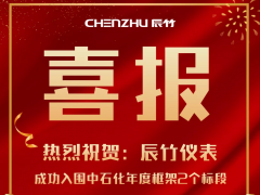 捷報鴻喜 辰竹儀表兩個標段成功入圍2021年度中石化采購框架