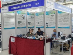 直擊現場丨麥森自動化攜熱電偶、熱電阻、鎧裝加熱器系列彩亮相淄博石油化工展
