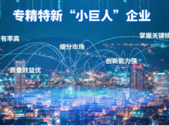產(chǎn)業(yè)領(lǐng)域 創(chuàng)新發(fā)展 萬訊自控成功入選第三批專精特新“小巨人”名單