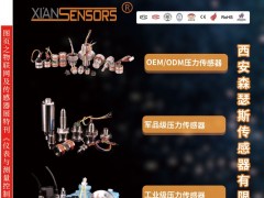 已經(jīng)有20年傳感器技術經(jīng)驗西安森瑟斯入駐《儀表與測量控制》2021年第5期之物聯(lián)網(wǎng)及傳感器展特刊的小封面