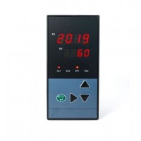 浙江頂威_ 溫度調節器DS805-020-23-HLP