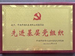 開(kāi)封儀表公司黨委被評(píng)為市工信系統(tǒng)先進(jìn)基層黨組織