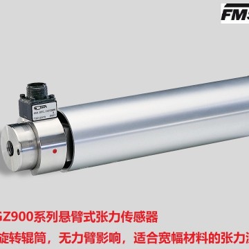 瑞士FMS 懸臂張力傳感器 RMGZ900 中